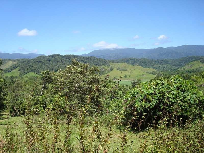 Stewart Creek Road, Daintree QLD 4873
