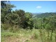 Stewart Creek Road, Daintree QLD 4873