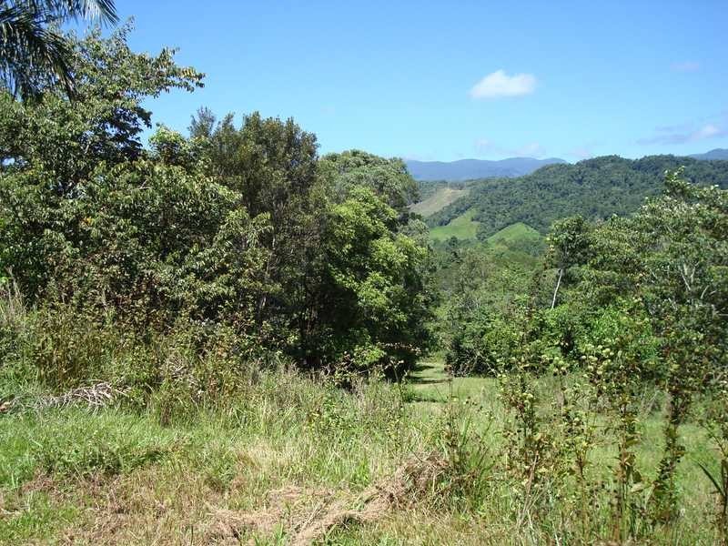 Stewart Creek Road, Daintree QLD 4873