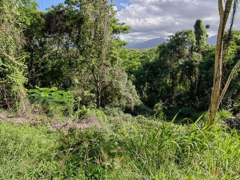 9 Ray Street, Yorkeys Knob QLD 4878