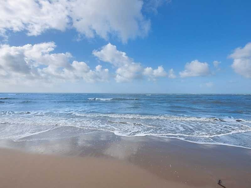 50 Cinderella Street, Machans Beach QLD 4878