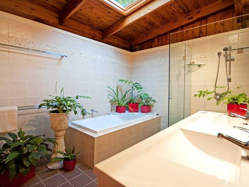 8 Licuala Close, Kamerunga QLD 4870