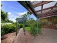 143 Hogan Road, Tarzali QLD 4885