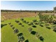 55786 Bruce Hwy, Cardwell QLD 4849