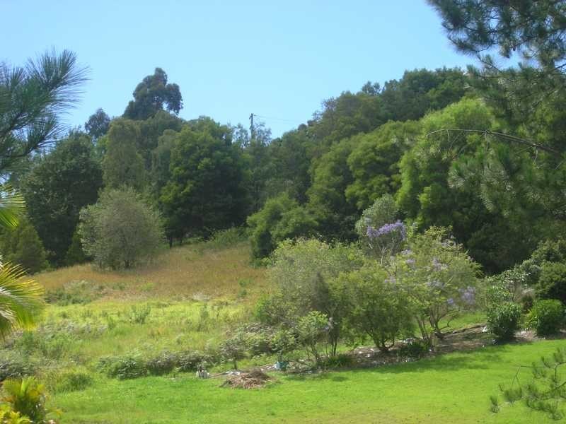 110 Ayrshire Park Drive, Boambee NSW 2450