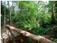 1 Langley Close, Coffs Harbour NSW 2450