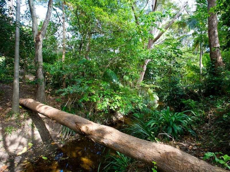 1 Langley Close, Coffs Harbour NSW 2450