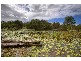 94 Lake Russell Drive Emerald Beach, Coffs Harbour NSW 2450