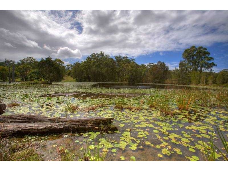 94 Lake Russell Drive Emerald Beach, Coffs Harbour NSW 2450
