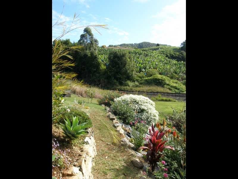 79 Pearce Drive, Coffs Harbour NSW 2450