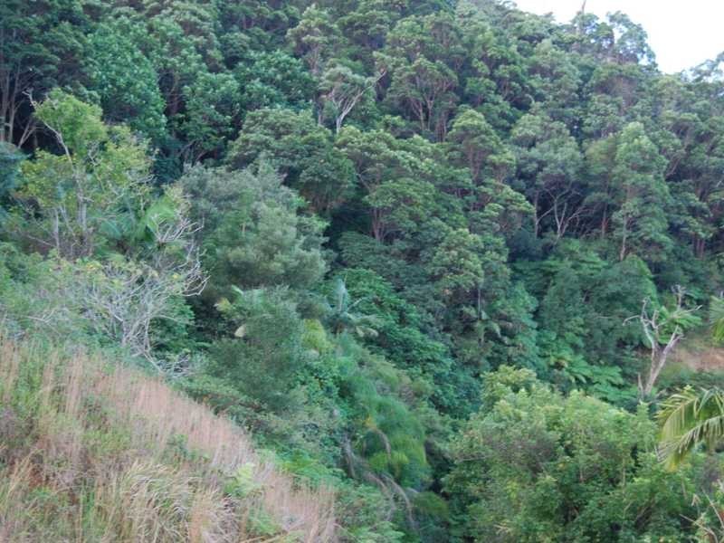 Lot 3 Mackays Road, Coffs Harbour NSW 2450