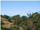 Lot 4 Old Coast Rd Korora, Coffs Harbour NSW 2450