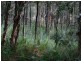 126 South Arm Road, Urunga NSW 2455
