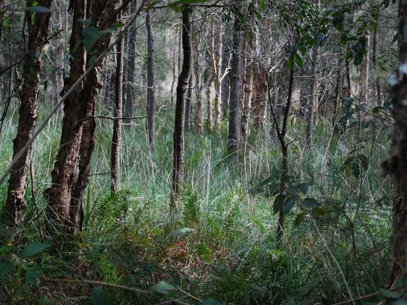126 South Arm Road, Urunga NSW 2455