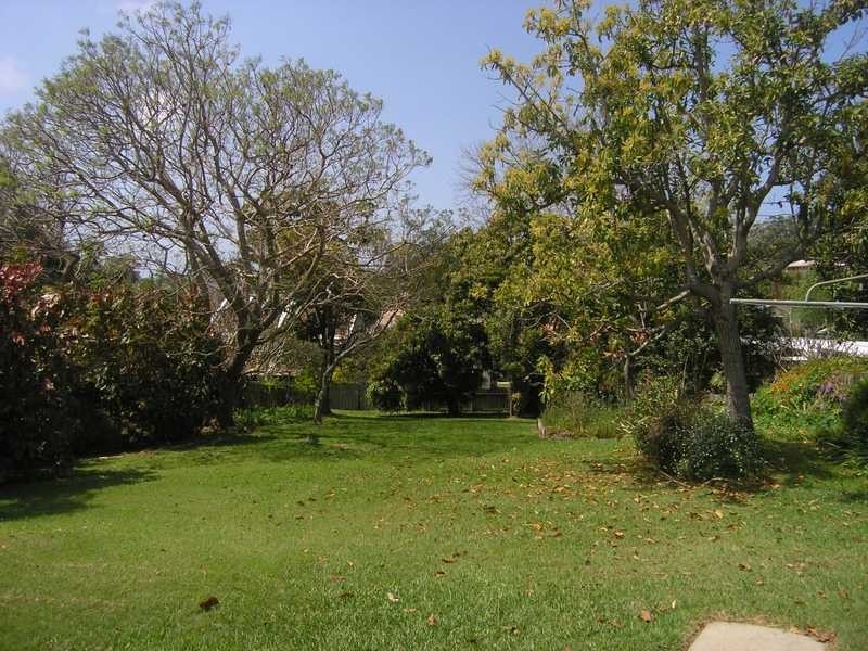 56 Azalea Avenue, Coffs Harbour NSW 2450