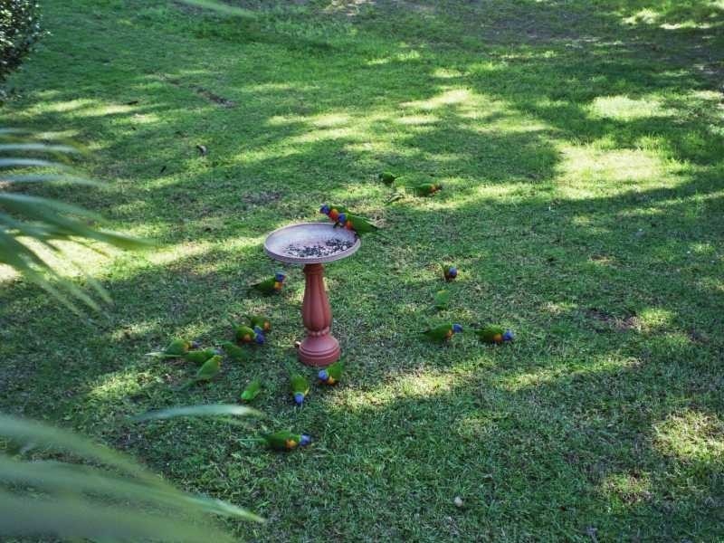 2/13 O’Neill Street, Coffs Harbour NSW 2450