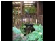 90 Mt Brown Rd Upper Orara, Coffs Harbour NSW 2450