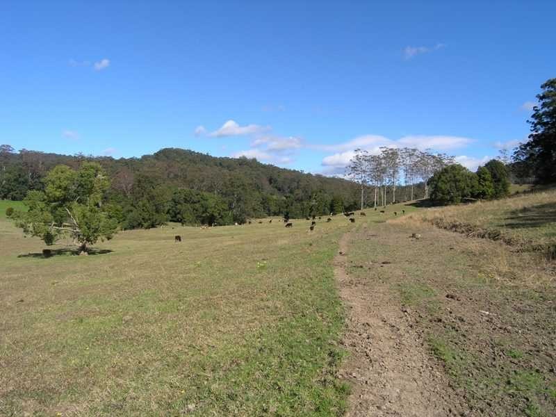 90 Mt Brown Rd Upper Orara, Coffs Harbour NSW 2450