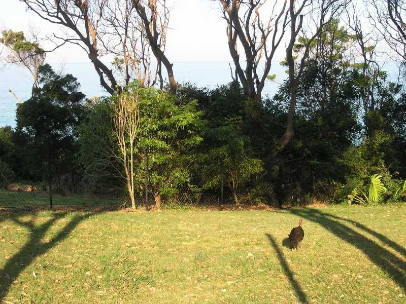 Coffs Harbour NSW 2450