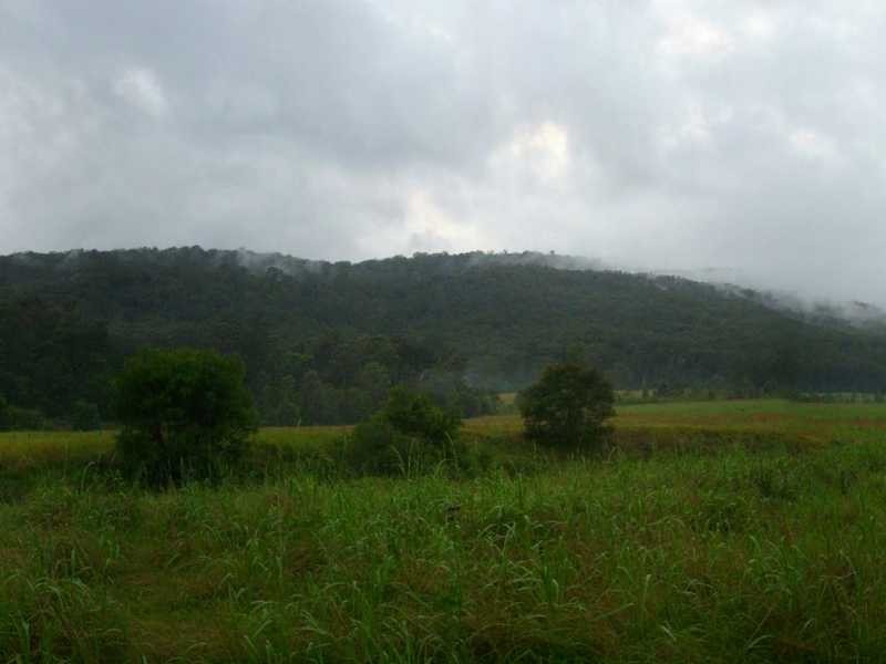 Lot 7 Eastbank Road, Glenreagh NSW 2450