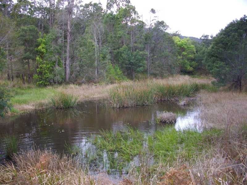 Lot 7 Eastbank Road, Glenreagh NSW 2450