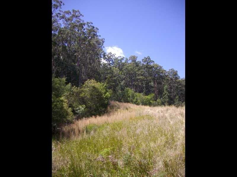 Lot 7 Eastbank Road, Glenreagh NSW 2450