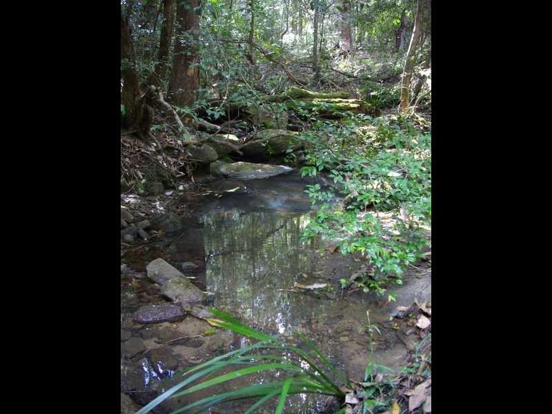 Lot 7 Eastbank Road, Glenreagh NSW 2450