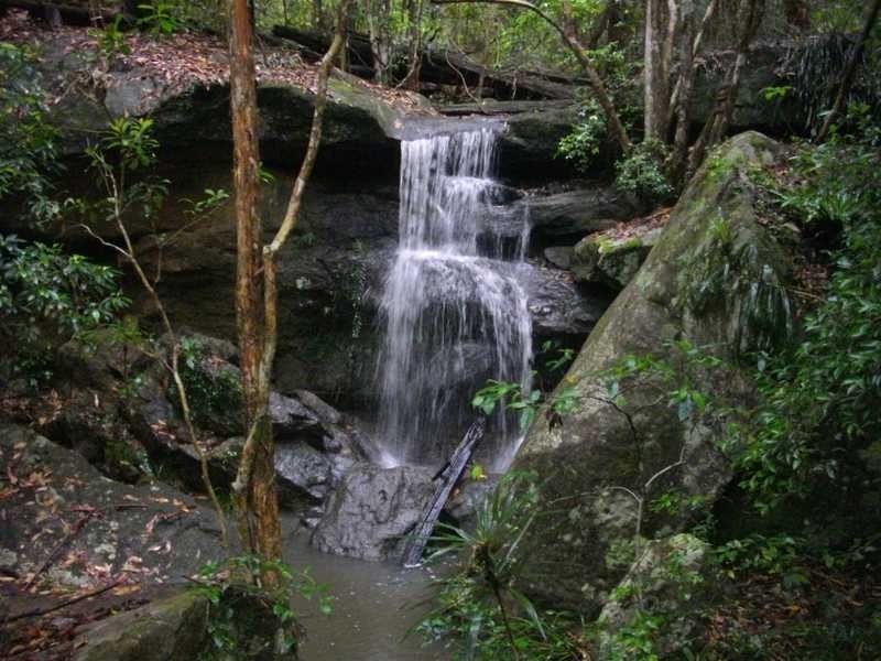 Lot 7 Eastbank Road, Glenreagh NSW 2450