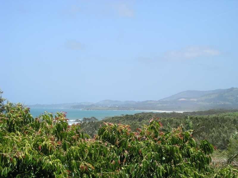 48 Dammerel Crescent, Emerald Beach NSW 2456