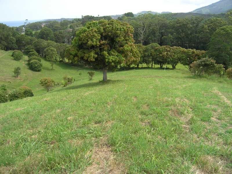 Lot 3 Old Coast Rd Korora, Coffs Harbour NSW 2450