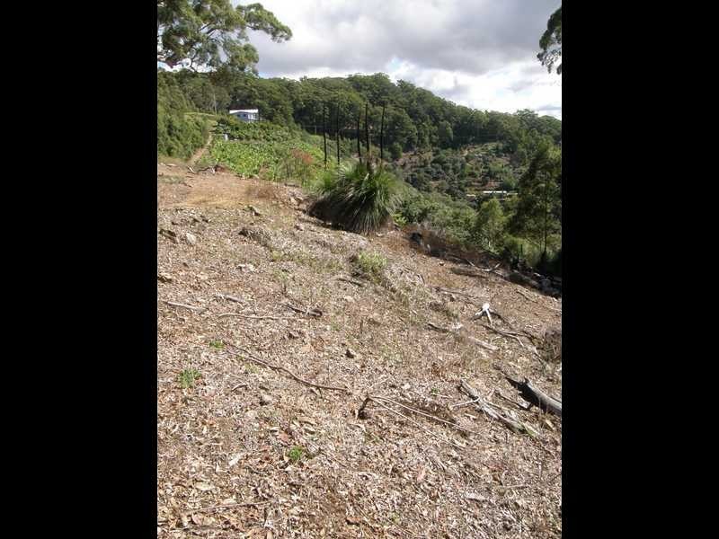 Lot 4 Bruxner Park Rd Korora, Coffs Harbour NSW 2450