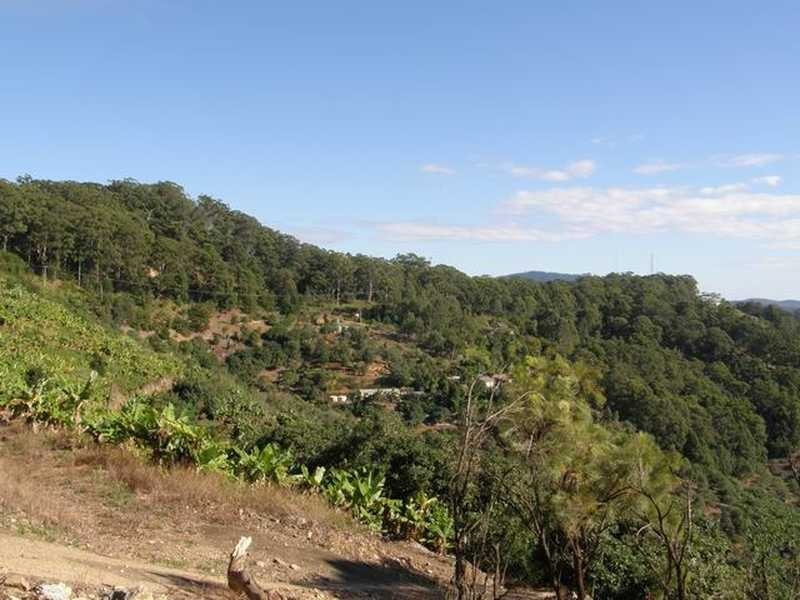 Lot 4 Bruxner Park Rd Korora, Coffs Harbour NSW 2450