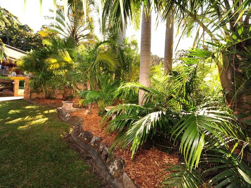 11 Bonnie Street, Coffs Harbour NSW 2450