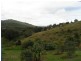221c Cassidy’S Road, Bonville NSW 2441