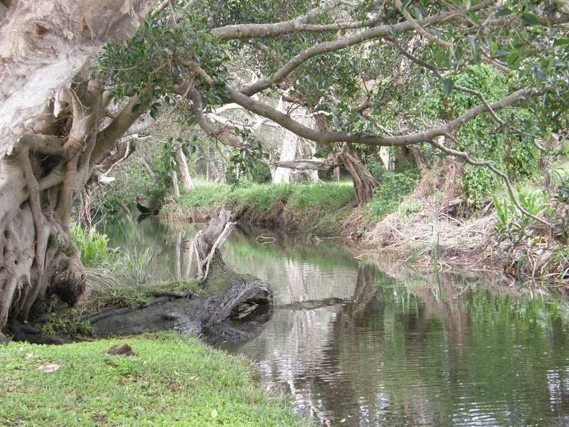 3/121 Boronia Street, Sawtell NSW 2452