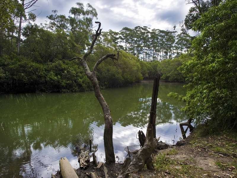 22 Shaws Close, Boambee East NSW 2452