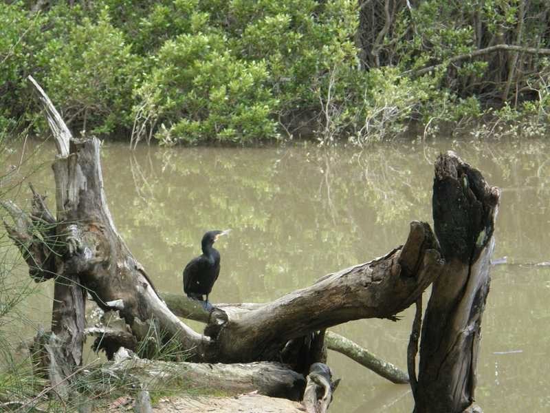 6a Jonathan Close, Coffs Harbour NSW 2450