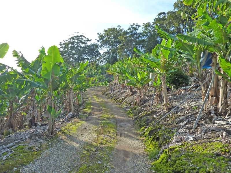 Lot 3 – 130 Bruxner Park Road, Coffs Harbour NSW 2450