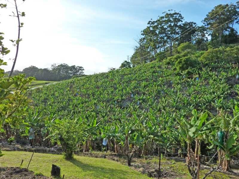 Lot 3 – 130 Bruxner Park Road, Coffs Harbour NSW 2450