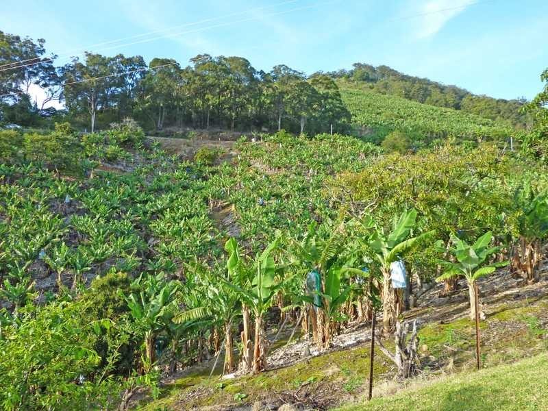 Lot 3 – 130 Bruxner Park Road, Coffs Harbour NSW 2450