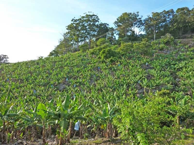 Lot 3 – 130 Bruxner Park Road, Coffs Harbour NSW 2450