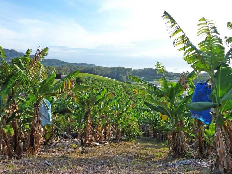 Lot 3 – 130 Bruxner Park Road, Coffs Harbour NSW 2450