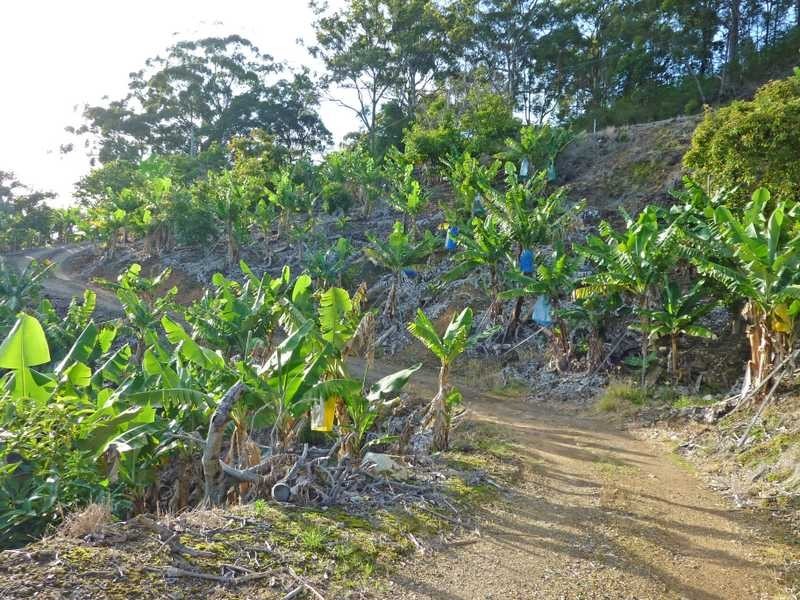 Lot 3 – 130 Bruxner Park Road, Coffs Harbour NSW 2450