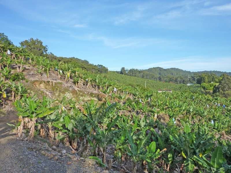 Lot 3 – 130 Bruxner Park Road, Coffs Harbour NSW 2450