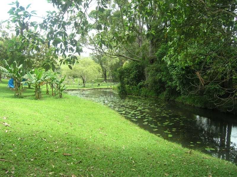 8 Curnuck Close, Boambee NSW 2450