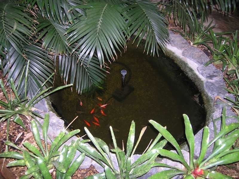 69 Reid Drive, Coffs Harbour NSW 2450