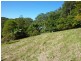 472 Mt Browne Rd, Upper Orara NSW 2450