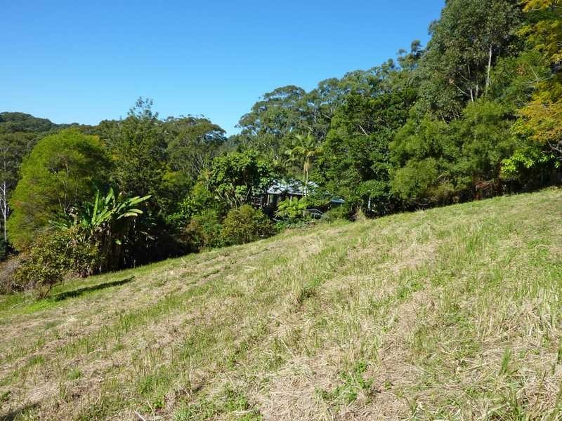472 Mt Browne Rd, Upper Orara NSW 2450