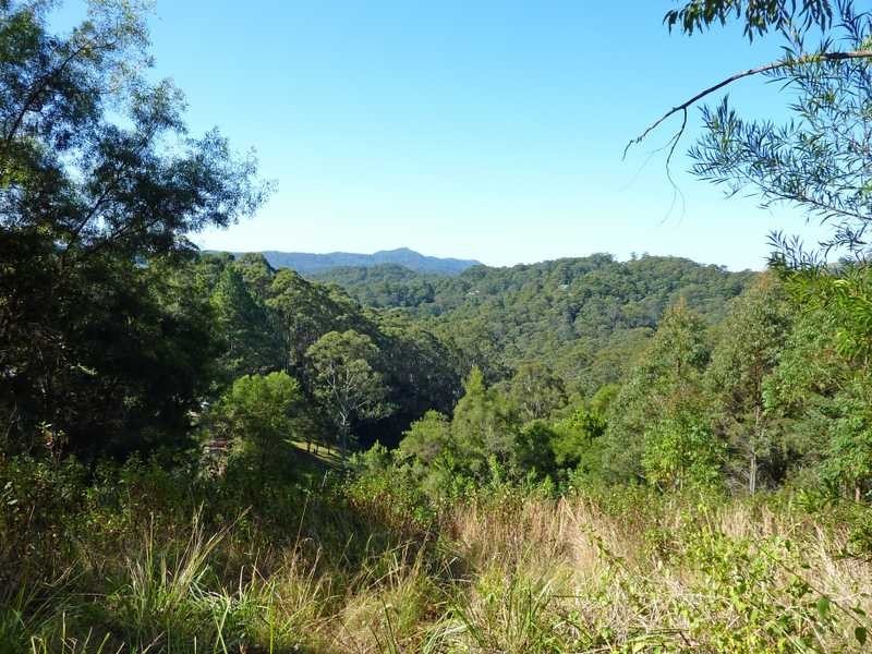 472 Mt Browne Rd, Upper Orara NSW 2450