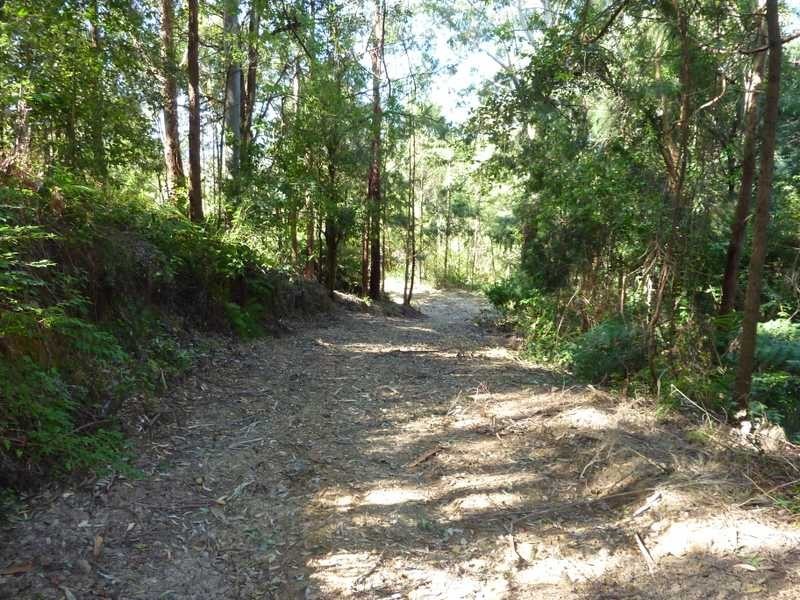 472 Mt Browne Rd, Upper Orara NSW 2450
